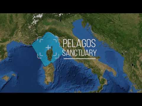 PELAGOS Sanctuary