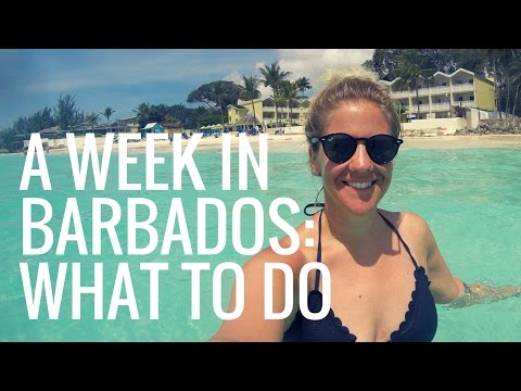 A Week Holiday in BARBADOS: What to DO!