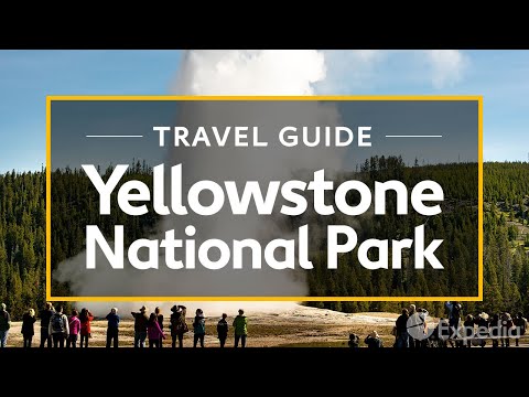 Yellowstone National Park Vacation Travel Guide | Expedia