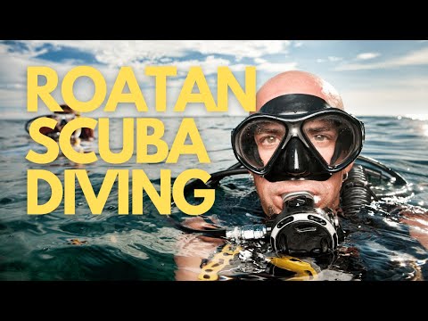 Scuba Diving Roatan with Aggressor Adventure Liveaboards
