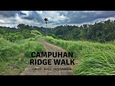 CAMPUHAN RIDGE WALK in UBUD, Bali - Best Hike in Bali, from the Centre of Ubud!