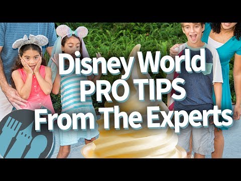 Disney World Pro Tips From The Experts