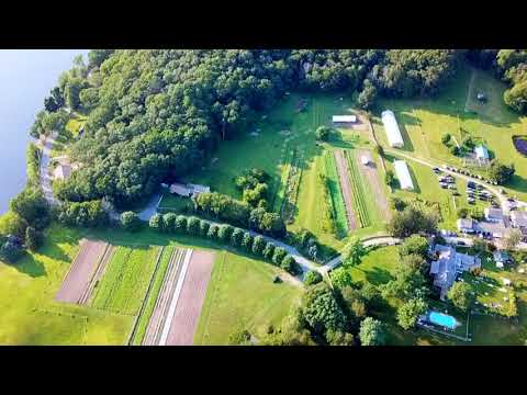 Welcome to White Gate Farm