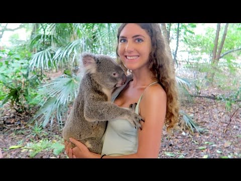 Hanging Out with Koalas, Kangaroos &amp; More // Australia