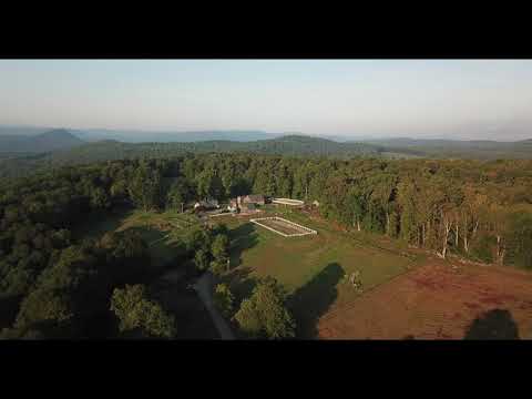 Blue Heron Aerial