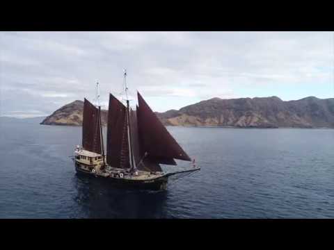 Cruising and Diving Komodo National Park - Adelaar - Exclusive Liveaboard Indonesia #1