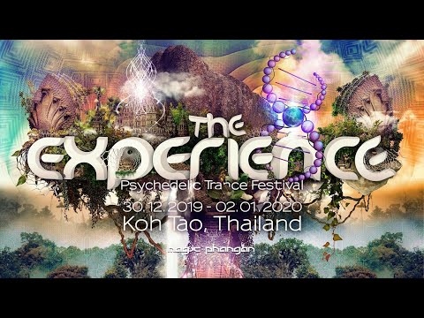 The Experience Festival 2019 - 2020
