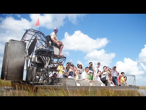 Everglades Tours | Airboat Tours | Gator Park