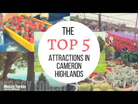 Top 5 Attractions in Cameron Highlands │ Travel Malaysia Guide