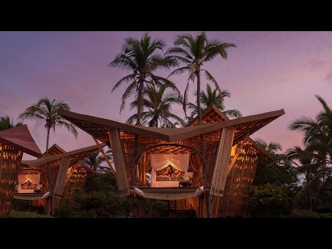 Manta Ray Tree House Village in Mexico