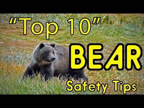 &quot;Top 10&quot; BEAR Safety Tips (or HOW TO AVOID BEING EATEN ALIVE!)