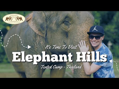 Elephant Hills Camp | Thailand