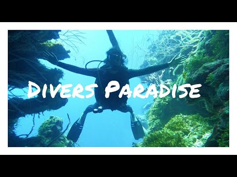 LIFE ON A LIVEABOARD//Part 1 of our Belize Aggressor 3 adventure