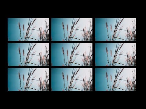 Wonderfruit Festival 2018: Official Aftermovie