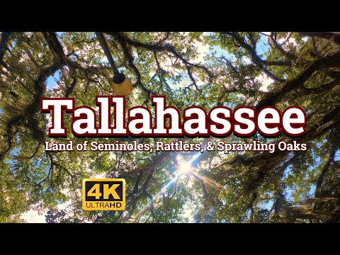 Tallahassee - Land of Seminoles, Rattlers, and Sprawling Oaks