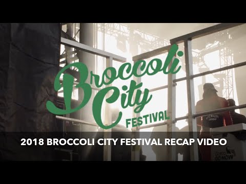 2018 Broccoli City Festival Recap