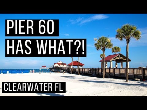 17 Best Airbnbs In Clearwater Beach Florida 2021 Edition