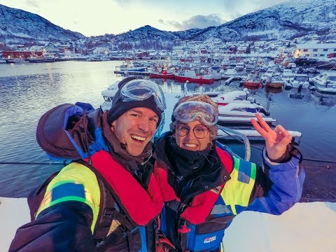 ORCAS AND HUMPBACK WHALES IN THE ARCTIC! TROMSØ , NORWAY DAY 1! 🇳🇴 🐋