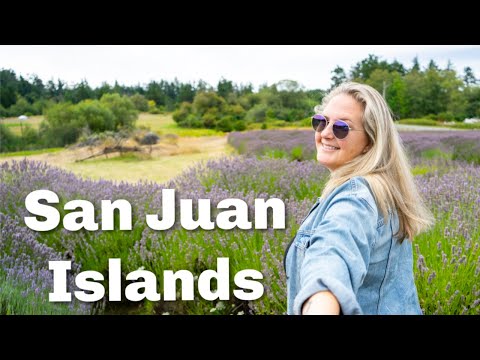 The Best Things To Do on San Juan Island | Friday Harbor