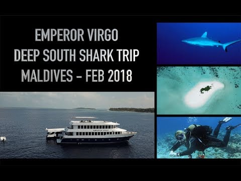 Emperor Virgo Liveaboard - Scuba Diving in the Maldives - Deep South Shark Trip - Feb 2018