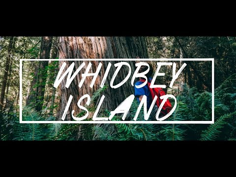 WHIDBEY ISLAND IN 4K