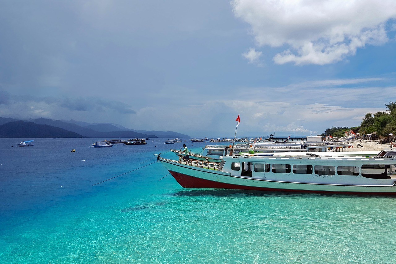 Magic Mushrooms in Indonesia | Bali , Gili Trawangan, Gili Air 2019