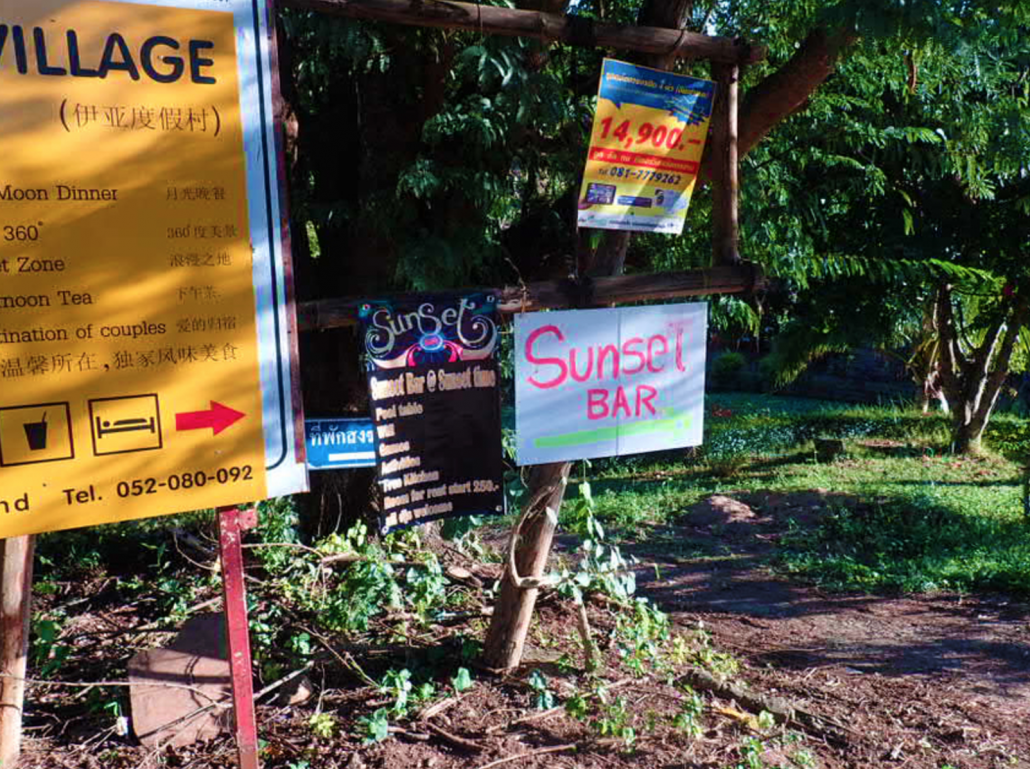 Magic Mushrooms in Thailand