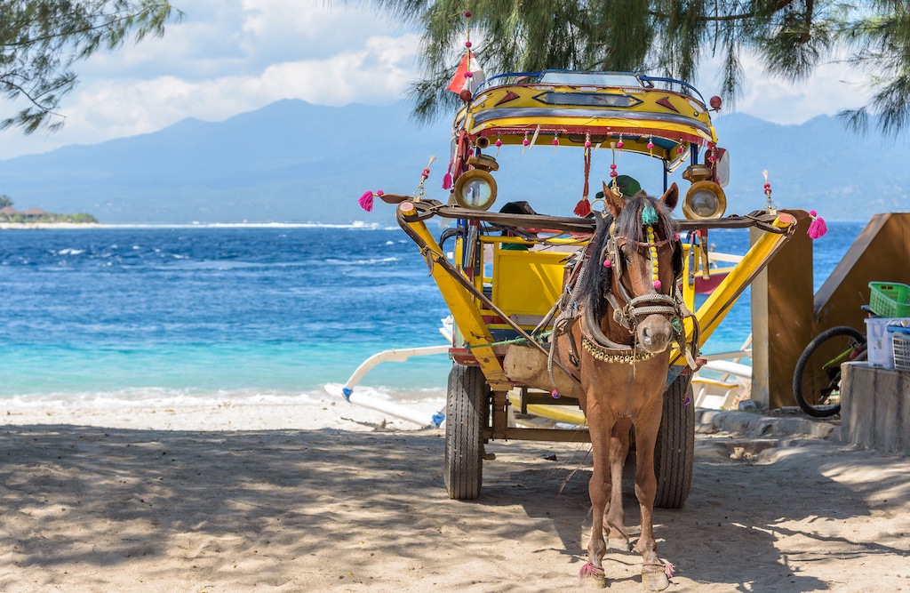  Cheval de travail sur l'île de Gili Tranwagan, Lombok.