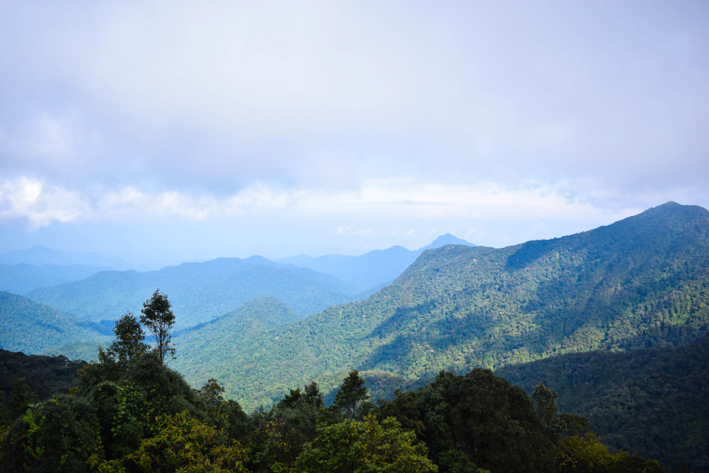 Cameron Highlands Backpacking Malaysia