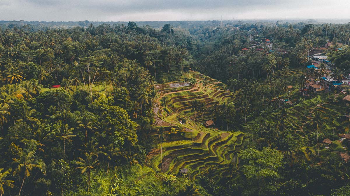 Ubud Itinerary