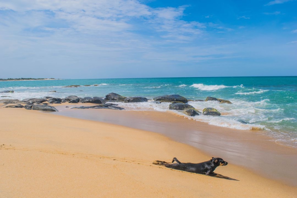 27 AMAZING THINGS TO DO IN ARUGAM BAY, SRI LANKA