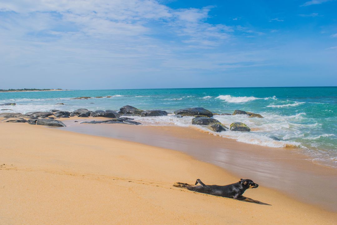 Arugam Bay Beach