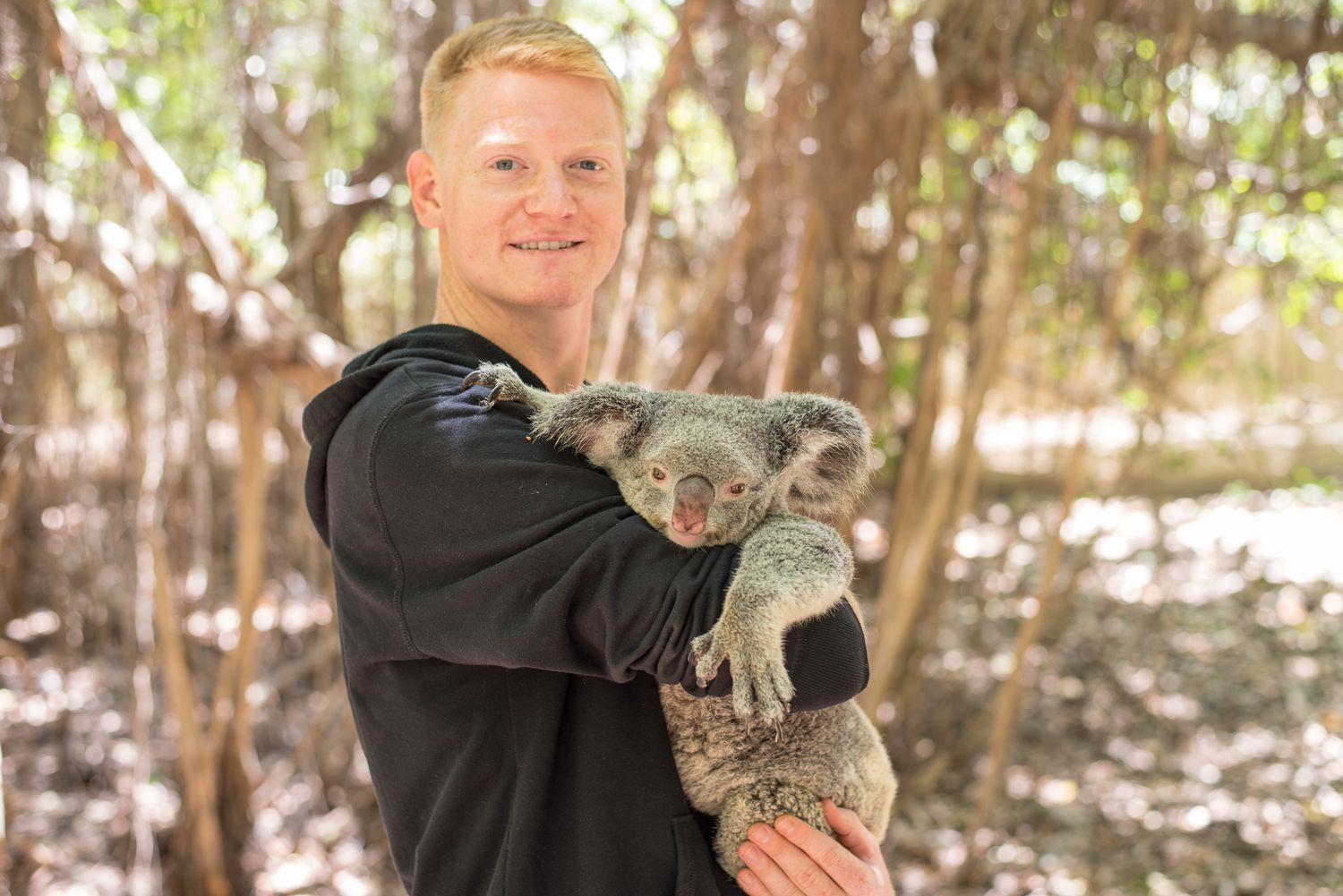 Koala Holding - Australia Travel Tips