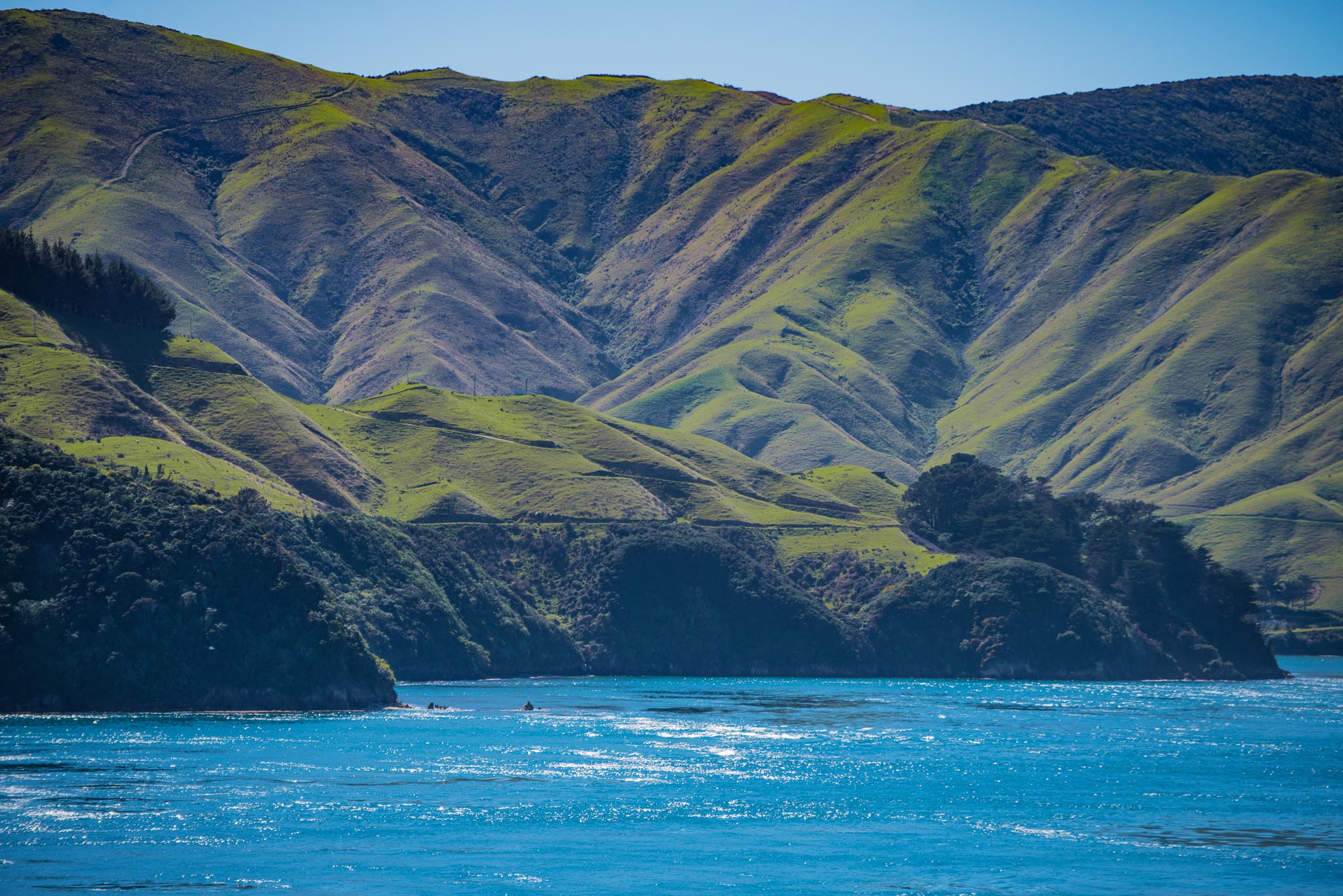 south island tours from wellington