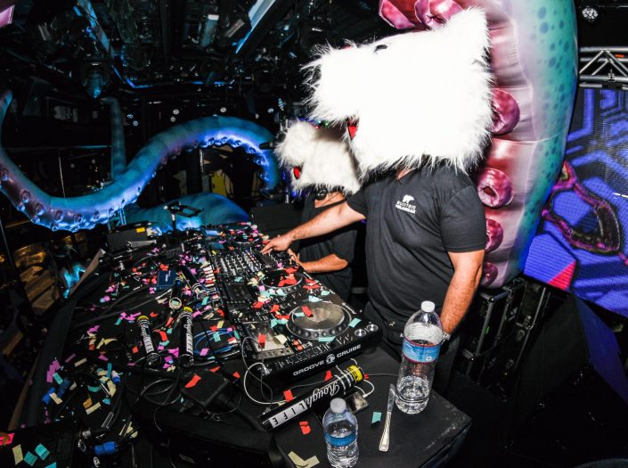 groove cruise 2025