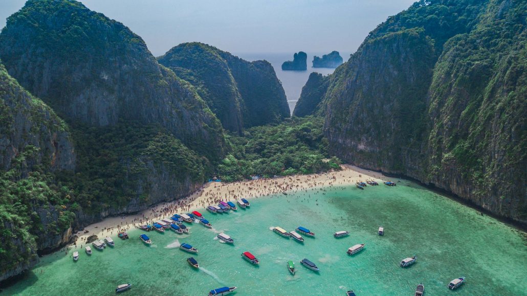 Koh Phi Phi Mushrooms