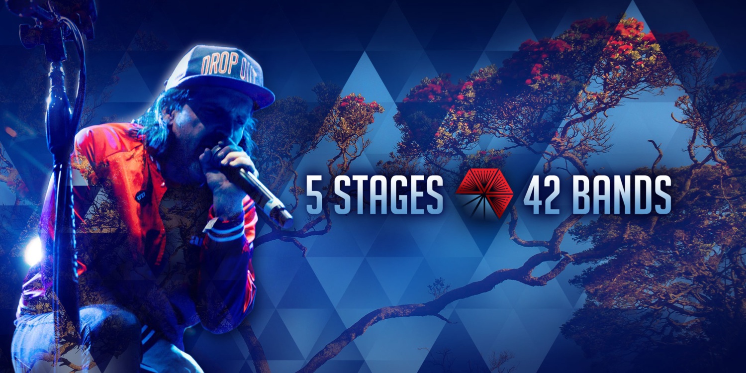 TOP 19 New Zealand Music Festivals In 2024 (Updated)