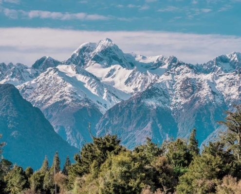 New Zealand Festivals