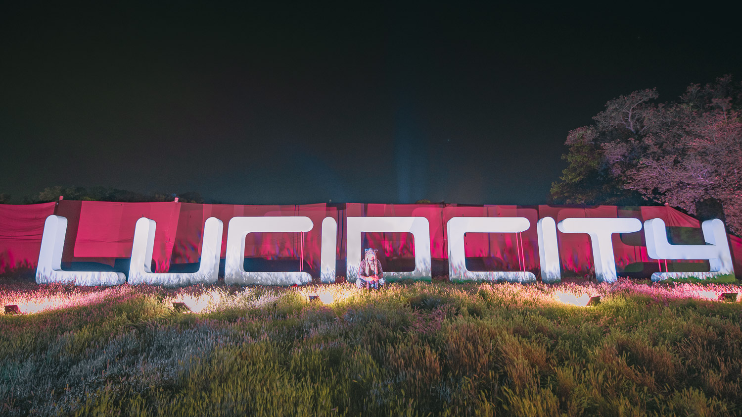 Lucidity Festival Review