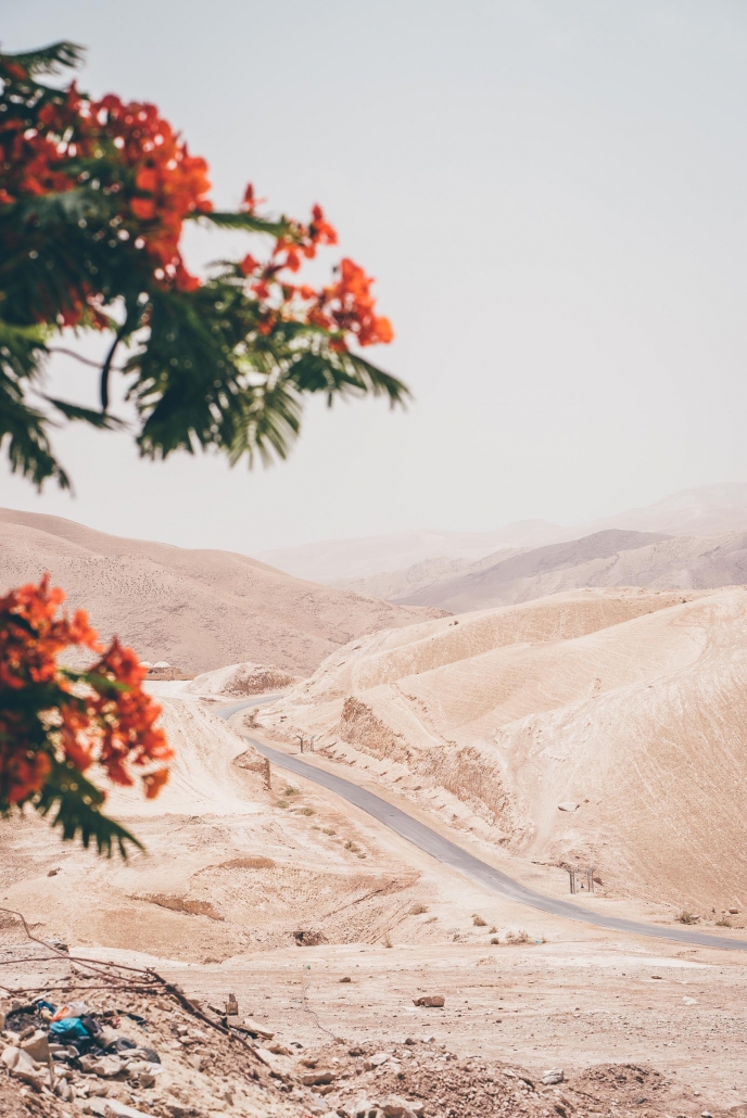 Judean Desert Jeep Tour