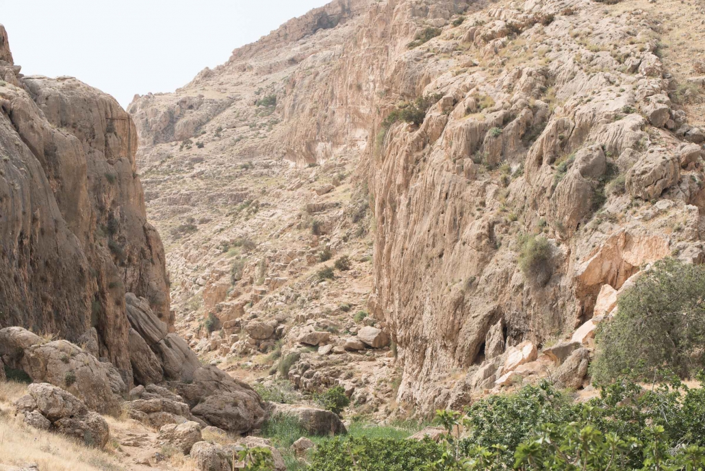 Judean Desert Jeep Tour