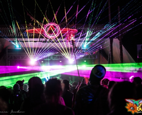 Sonic Bloom Festival Review