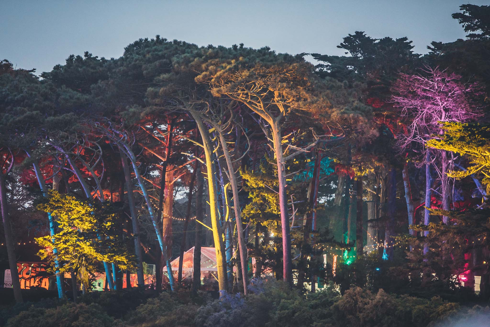 Outside Lands Festival Review