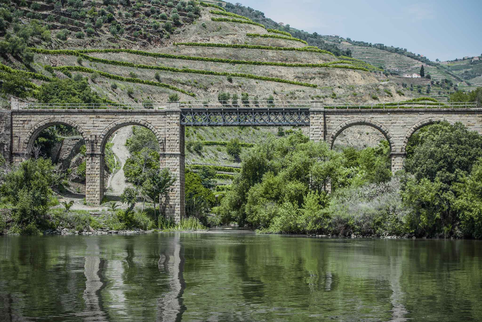 Douro Valley Day Trip