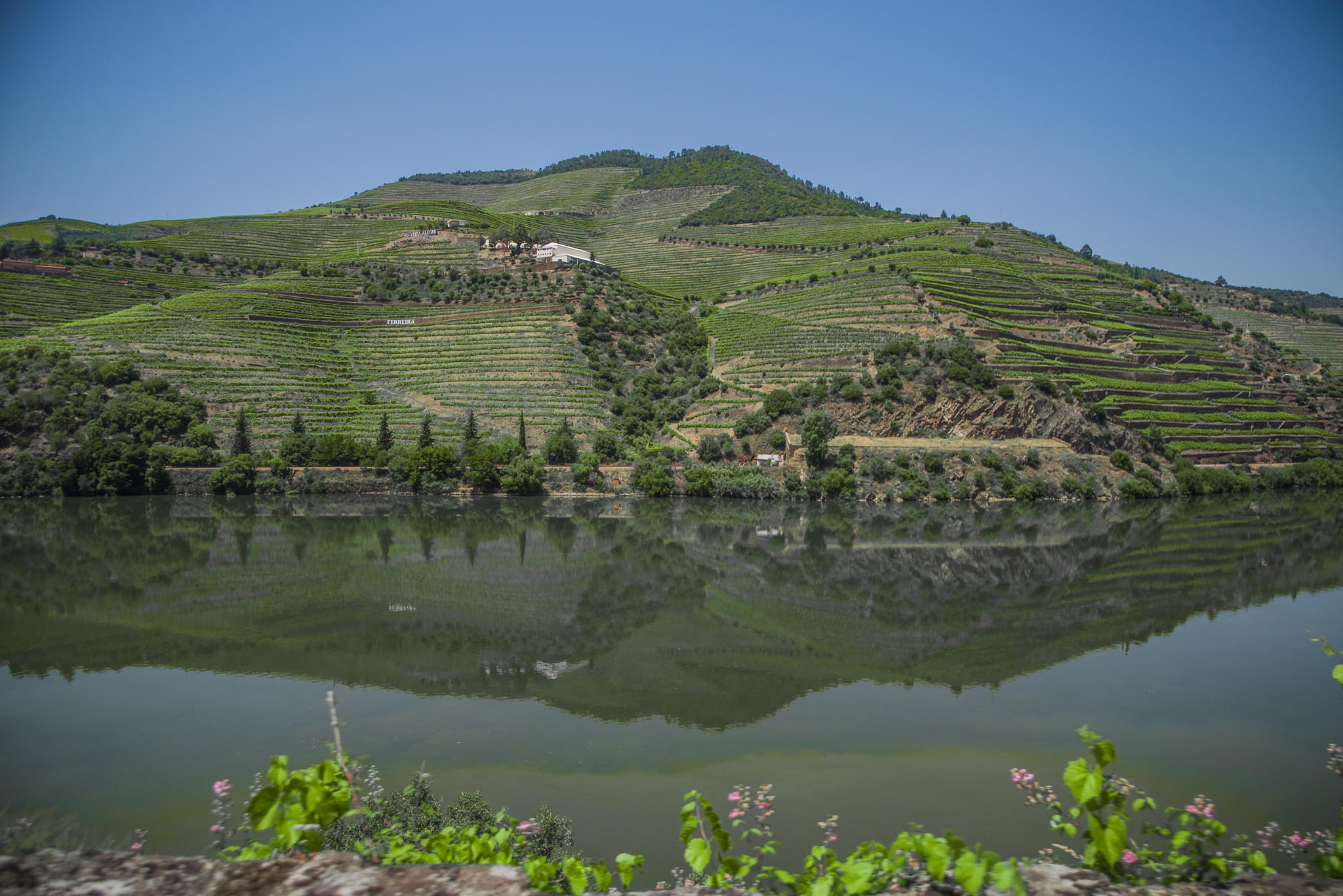 Douro Valley Day Trip