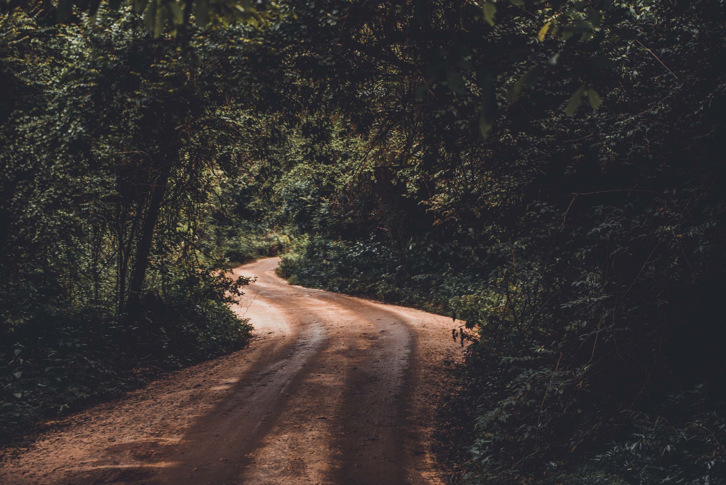 Kaudulla National Park