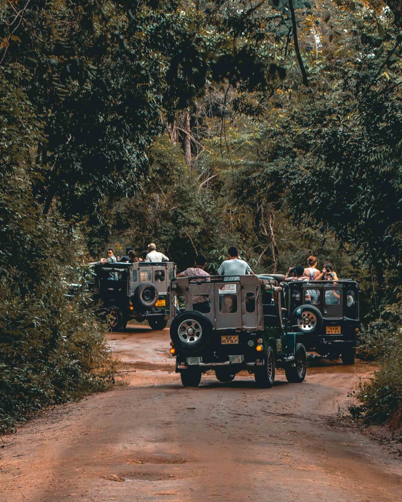 Kaudulla National Park