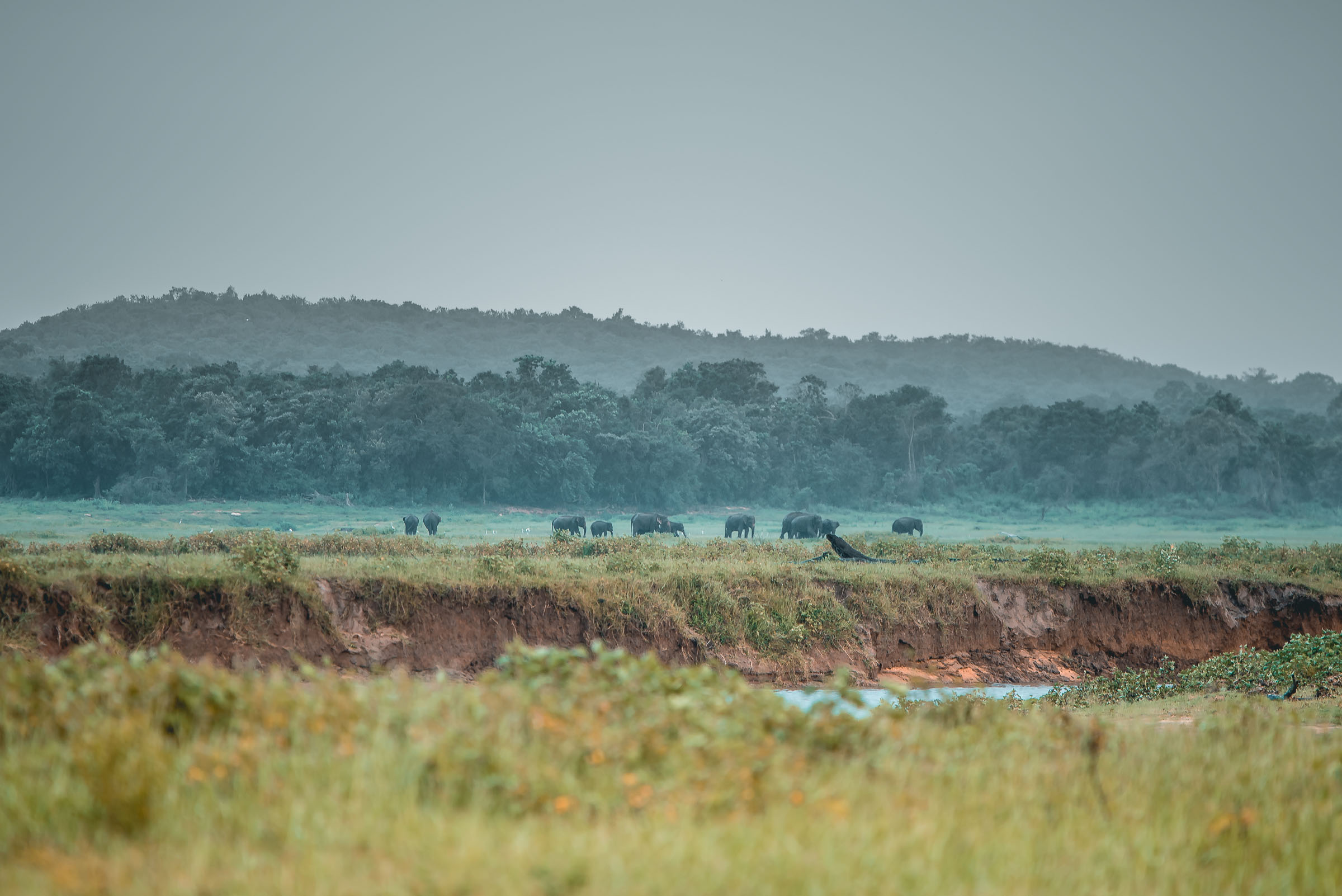 Kaudulla National Park