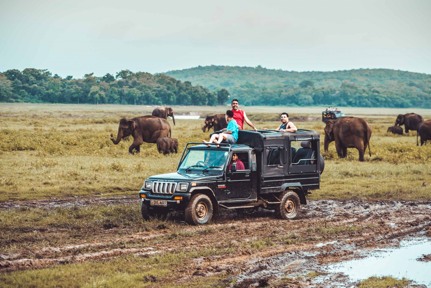 kaudulla national park jeep safari