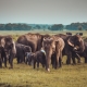 Kaudulla National Park